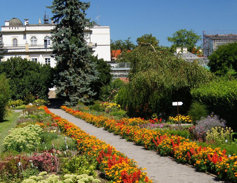 Botanical Garden of the Jagiellonian University, Poland